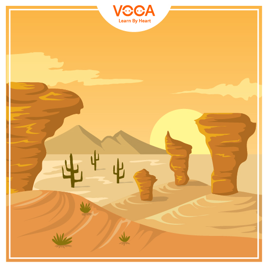 NATURAL WORLD & ENVIRONMENT